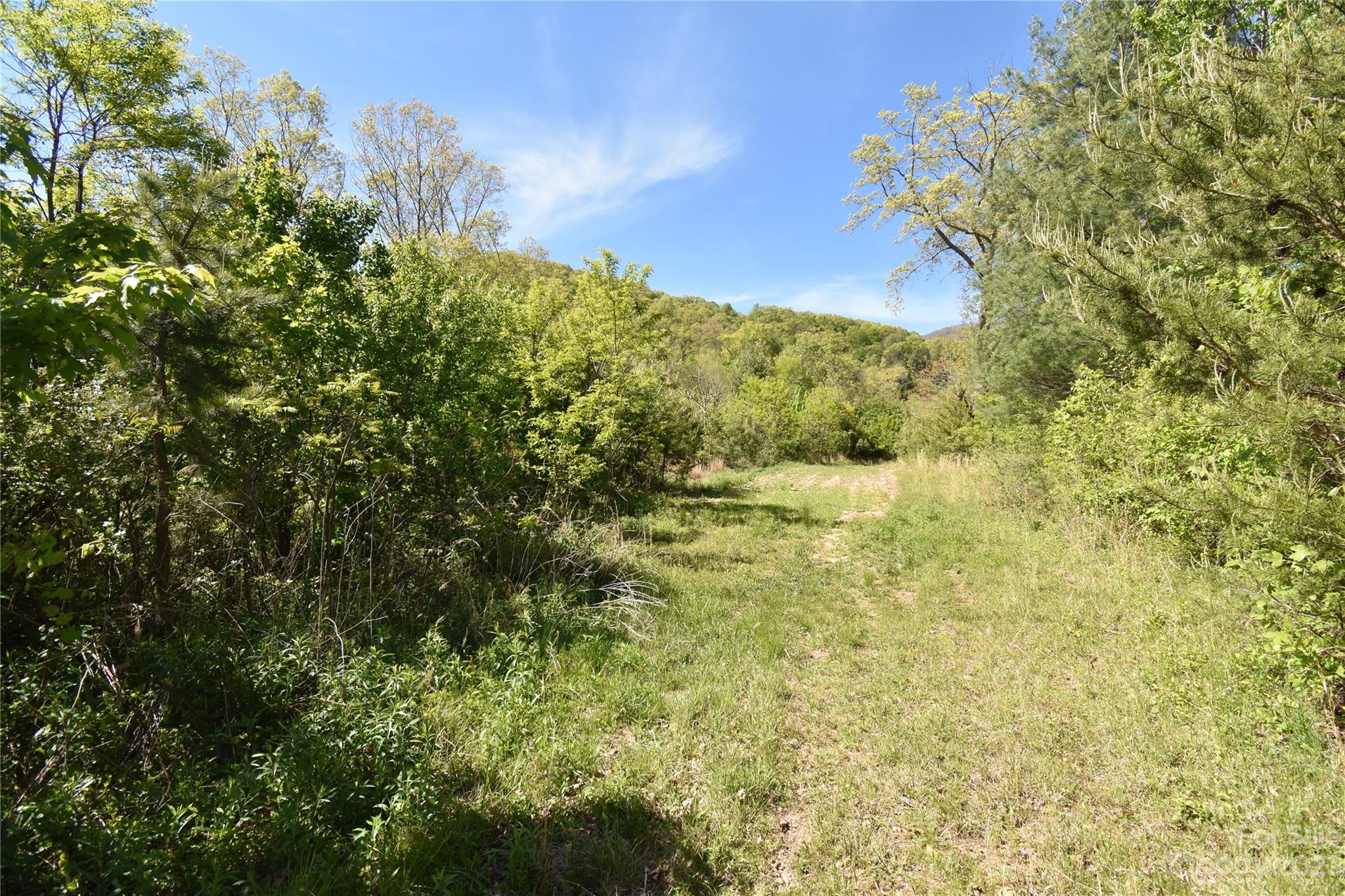Land Off Ransom Road Clyde NC 28721