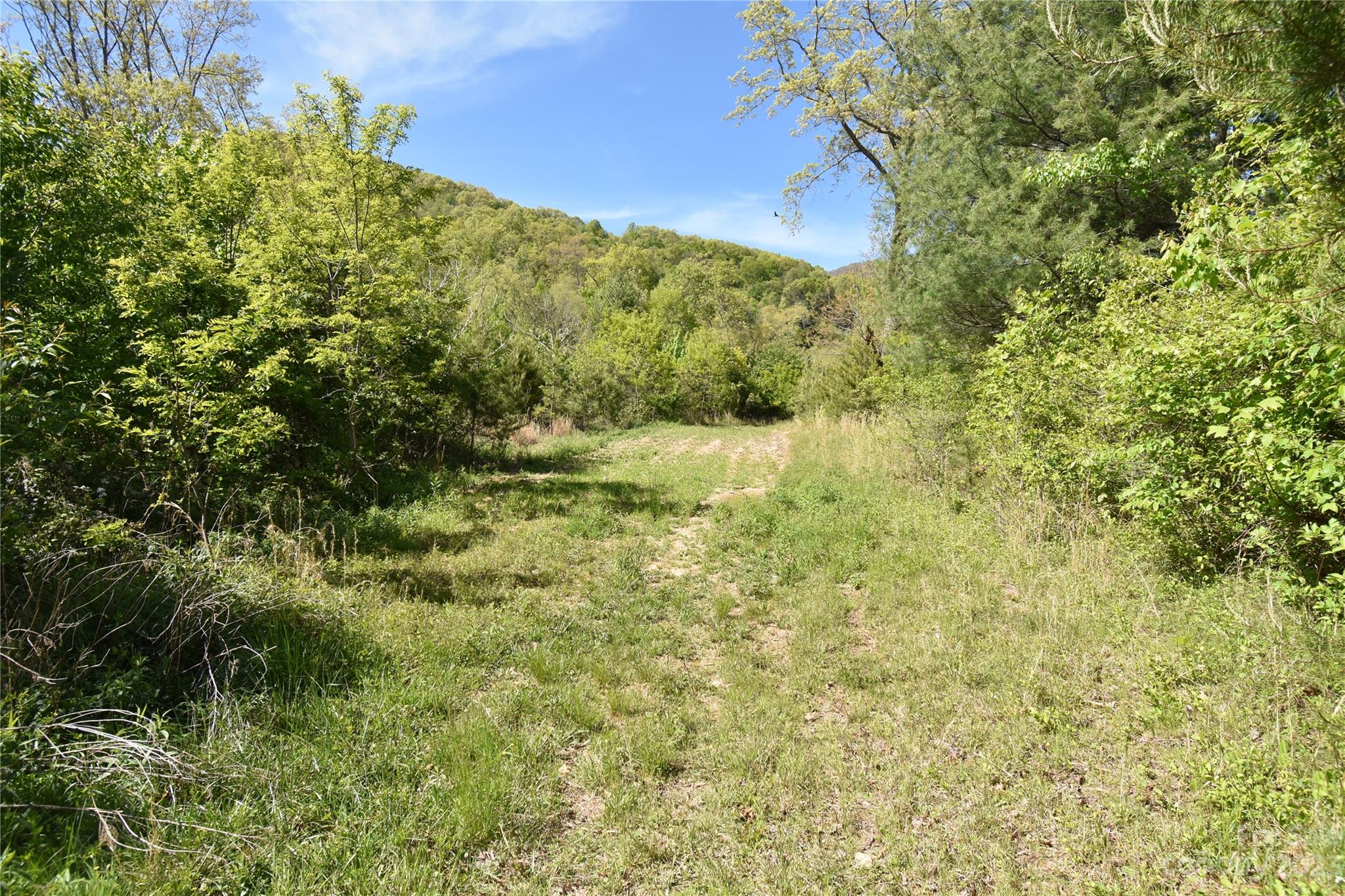 Land Off Ransom Road Clyde NC 28721