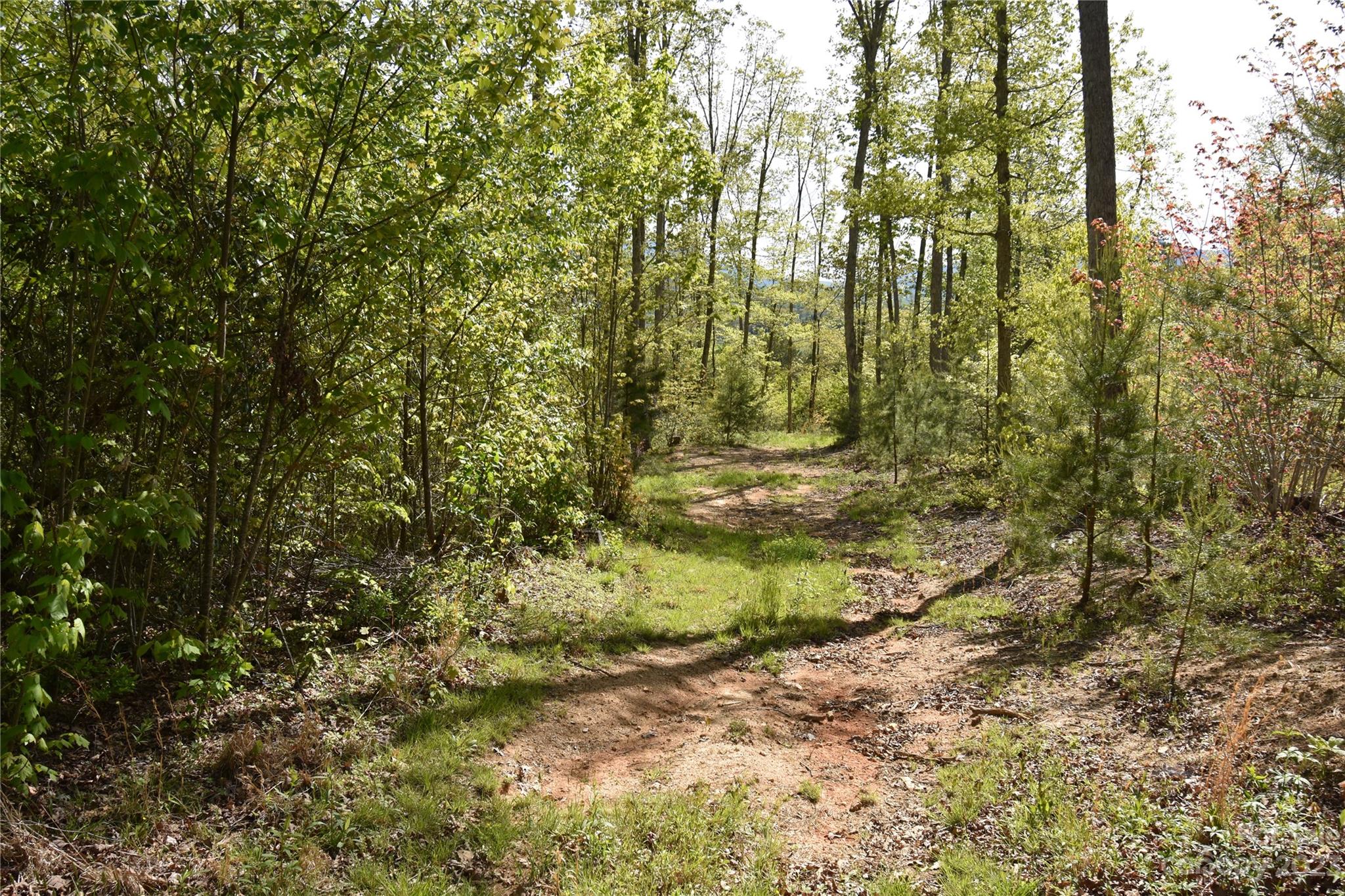 Land Off Ransom Road Clyde NC 28721