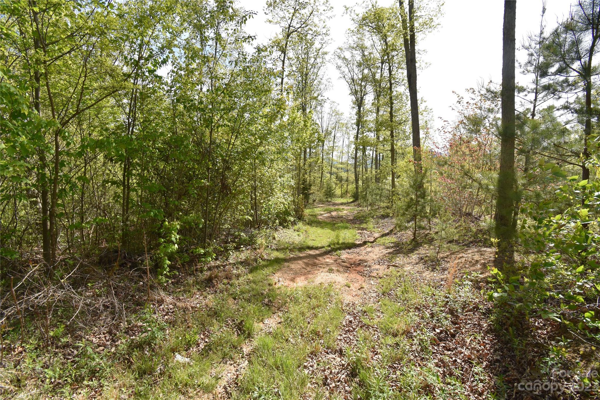Land Off Ransom Road Clyde NC 28721