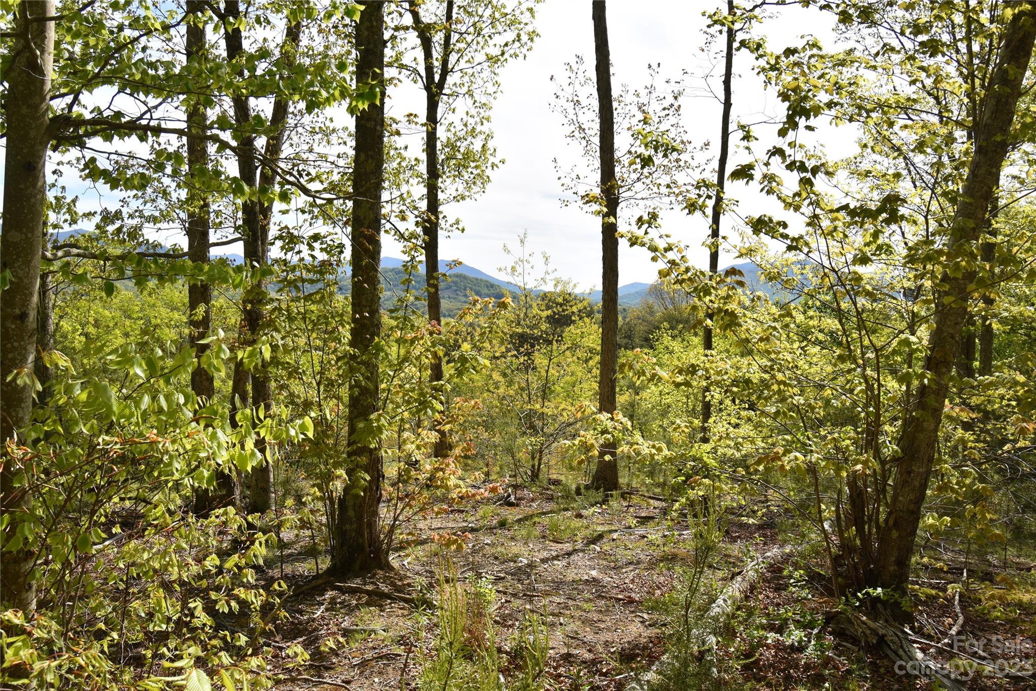Land Off Ransom Road Clyde NC 28721
