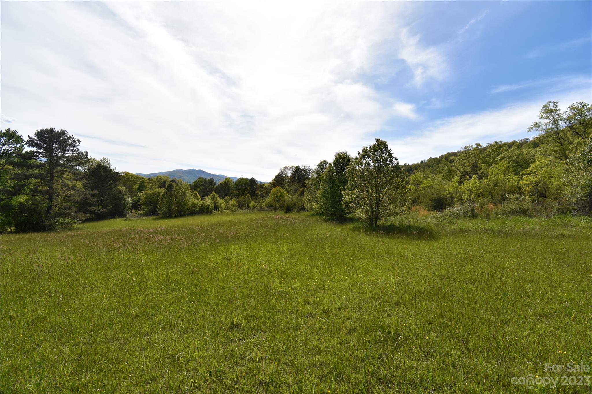 Land Off Ransom Road Clyde NC 28721