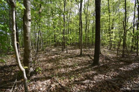 Land Off Ransom Road Clyde NC 28721