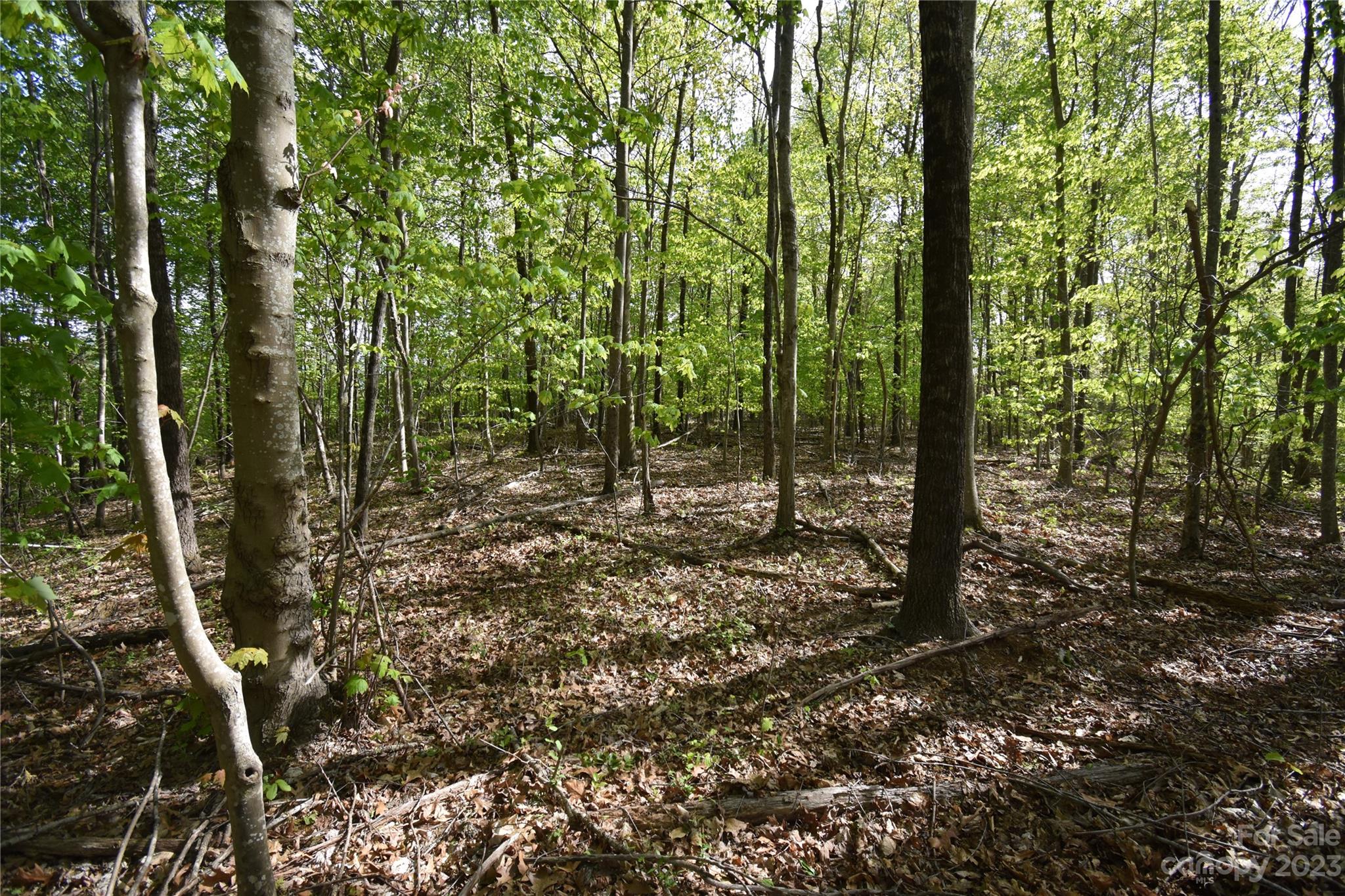 Land Off Ransom Road Clyde NC 28721