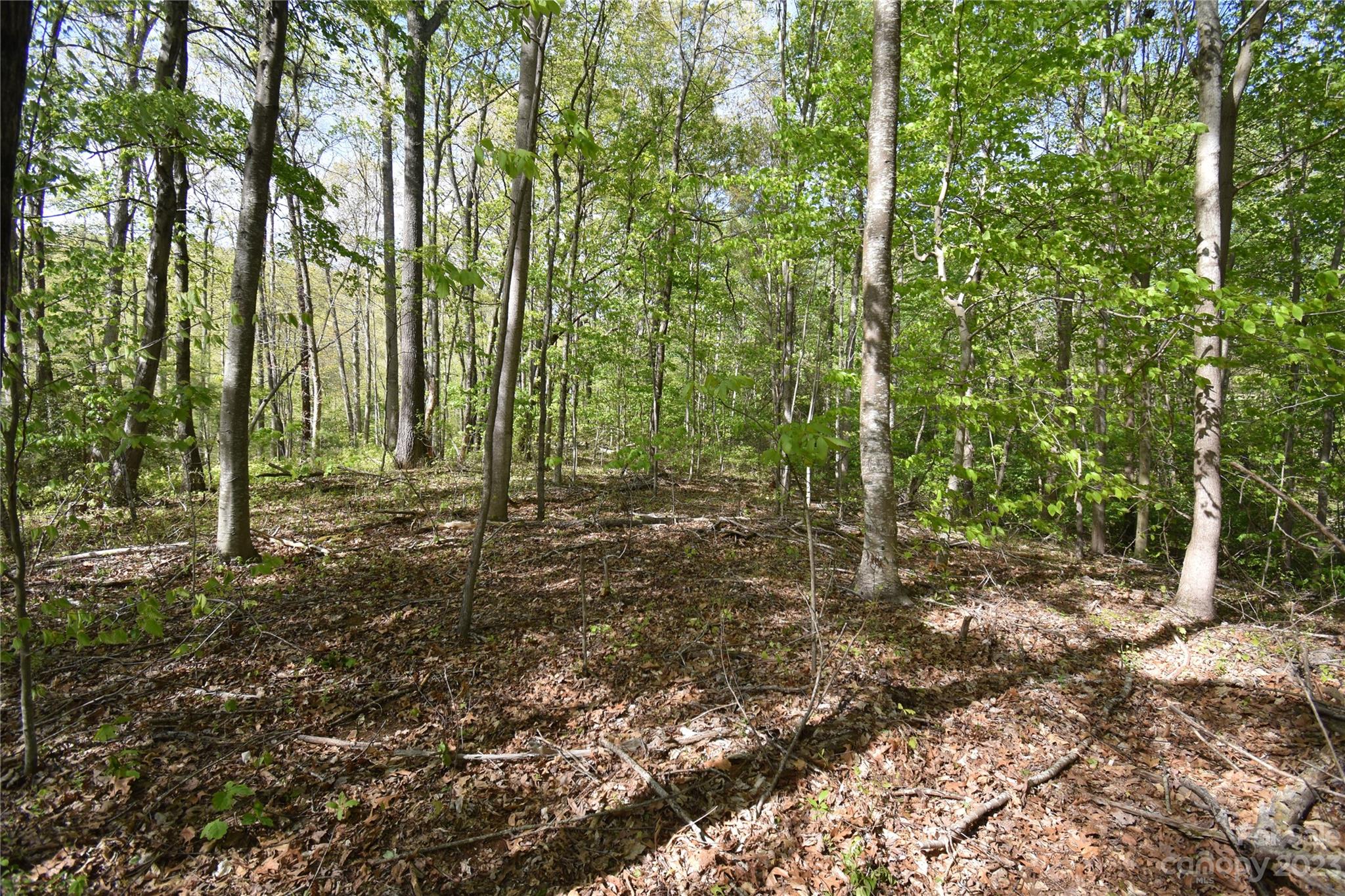 Land Off Ransom Road Clyde NC 28721