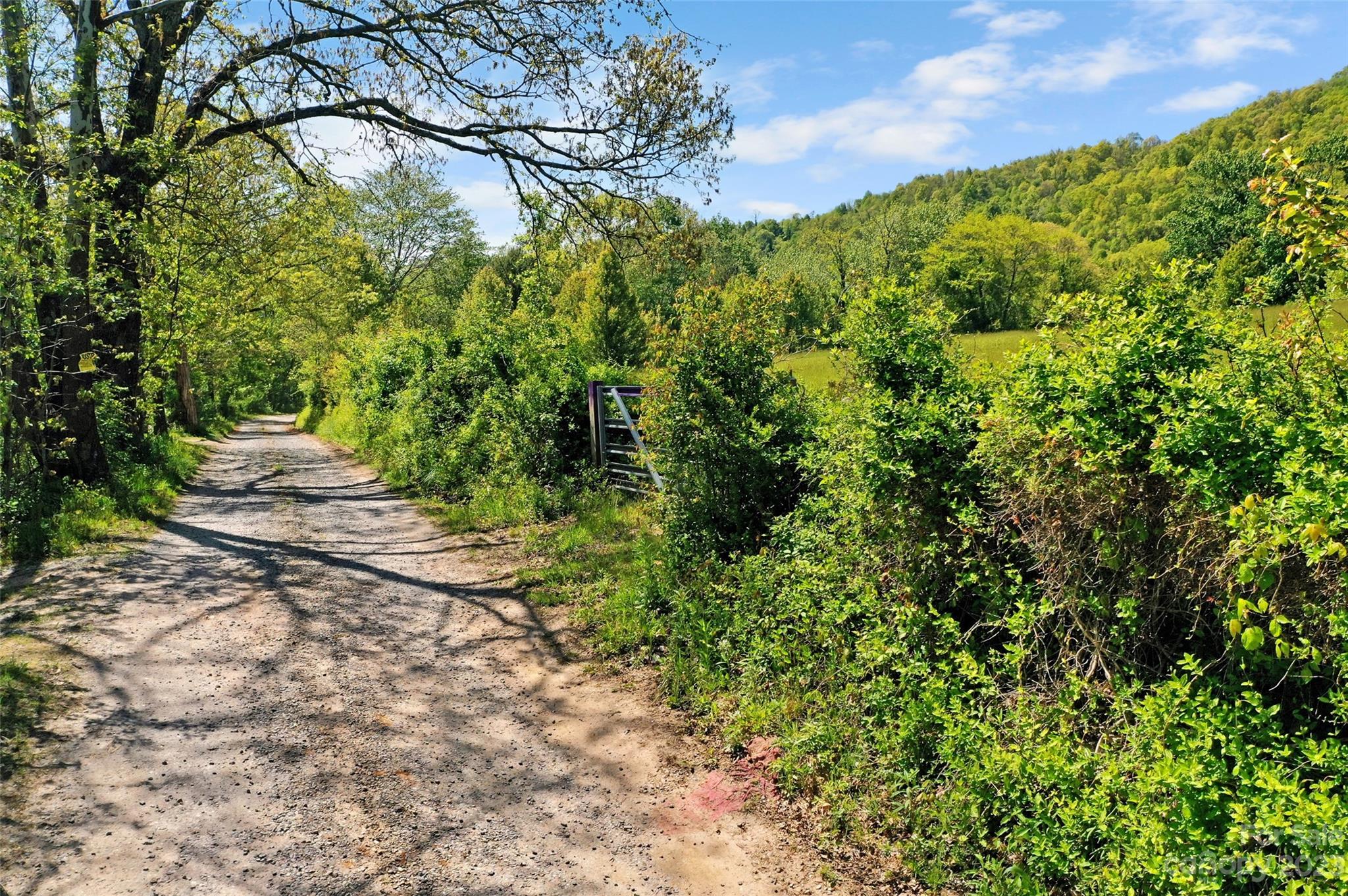 Land Off Ransom Road Clyde NC 28721