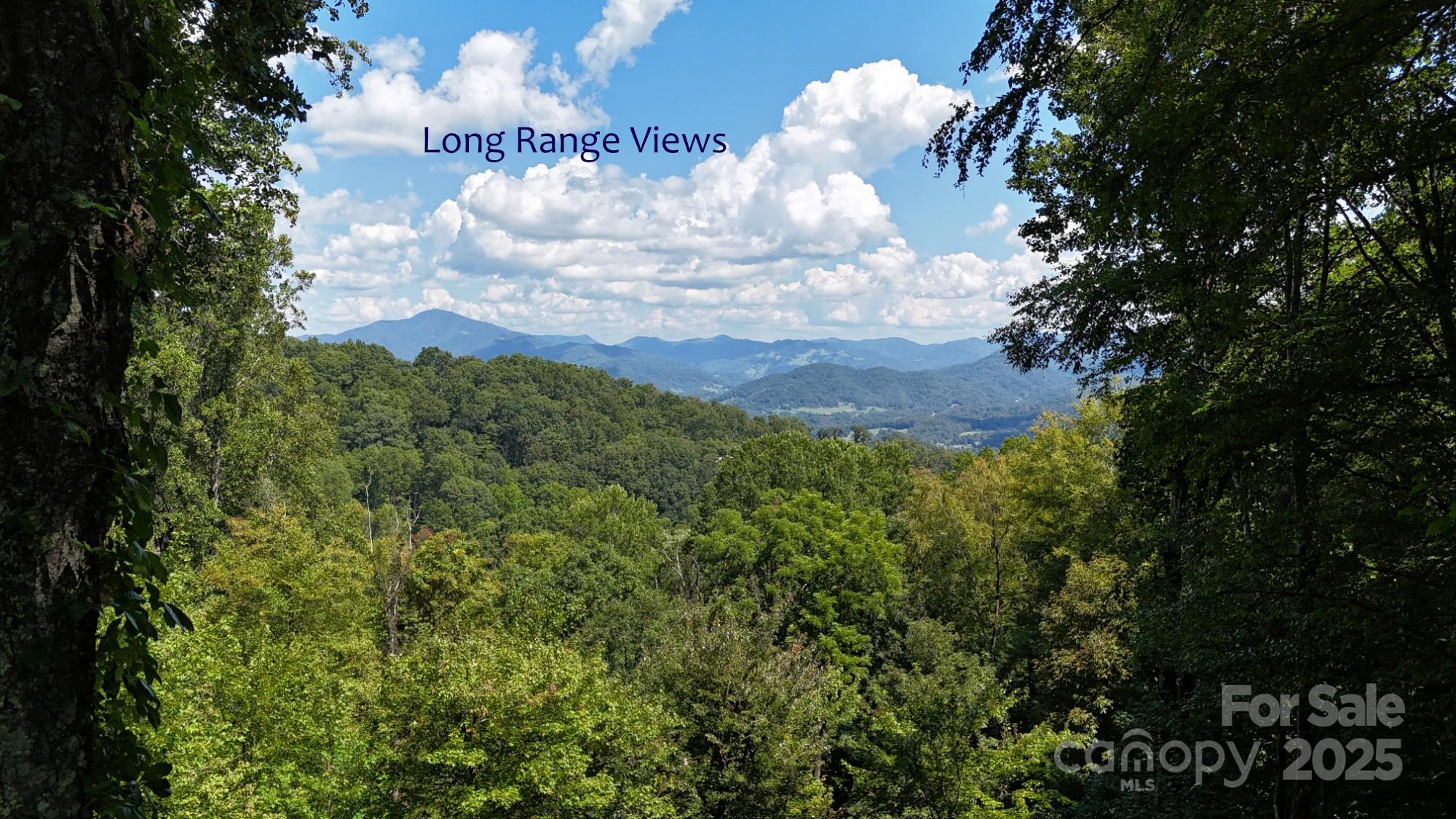 2222 Sleepy Hollow Drive Waynesville NC 28785