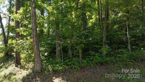 2222 Sleepy Hollow Drive Waynesville NC 28785