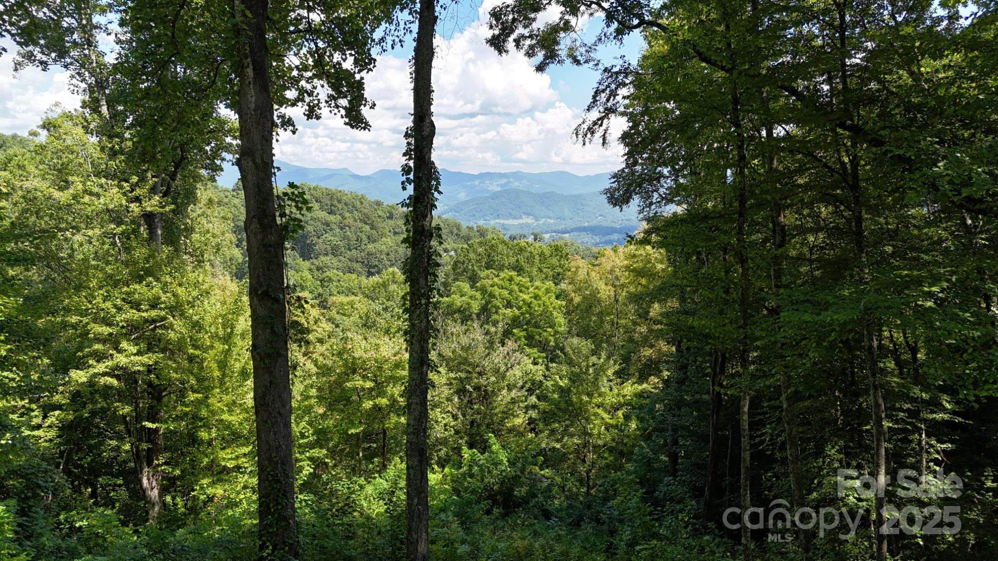 2222 Sleepy Hollow Drive Waynesville NC 28785