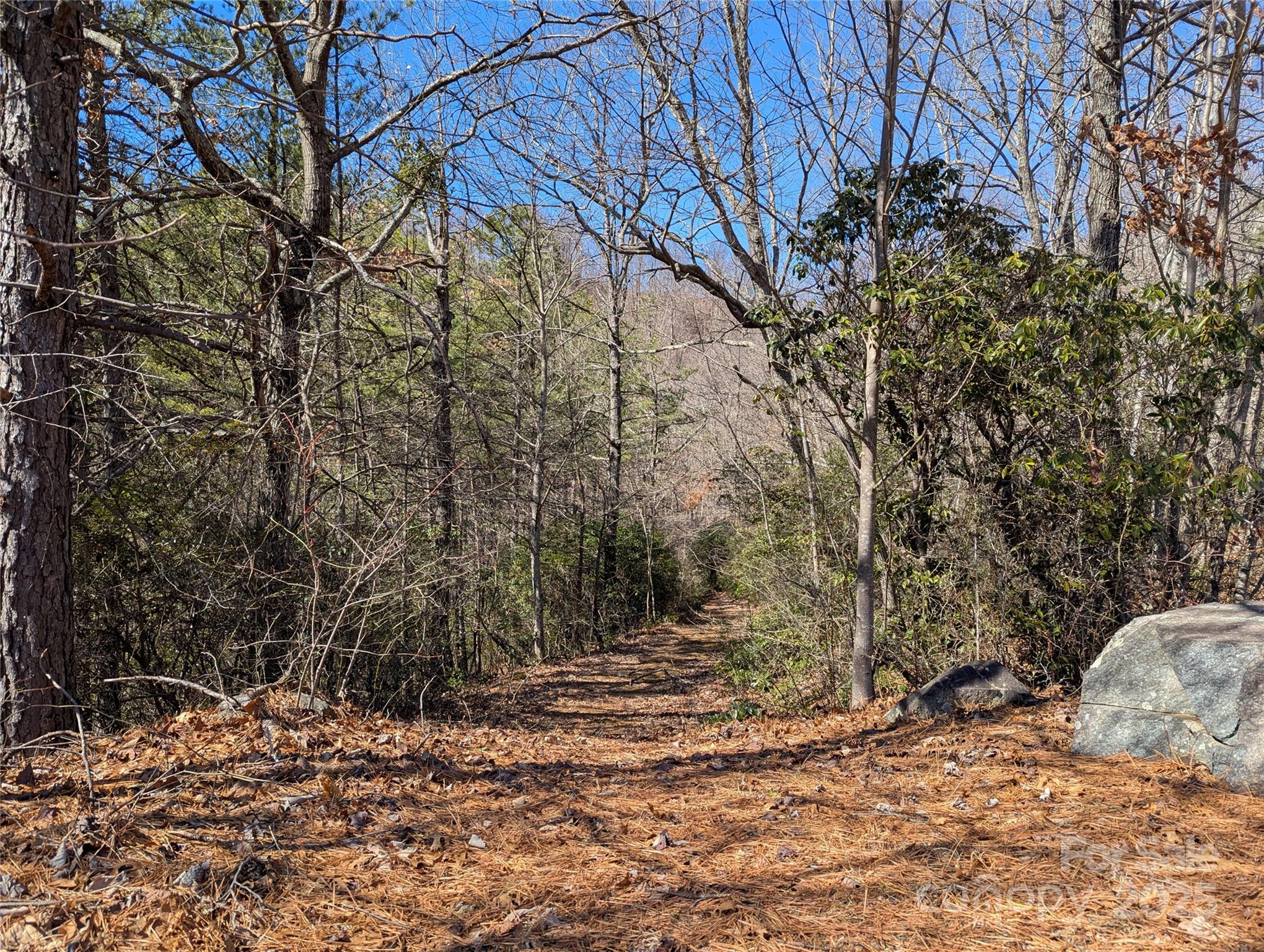 94 Trillium Lane Black Mountain NC 28711