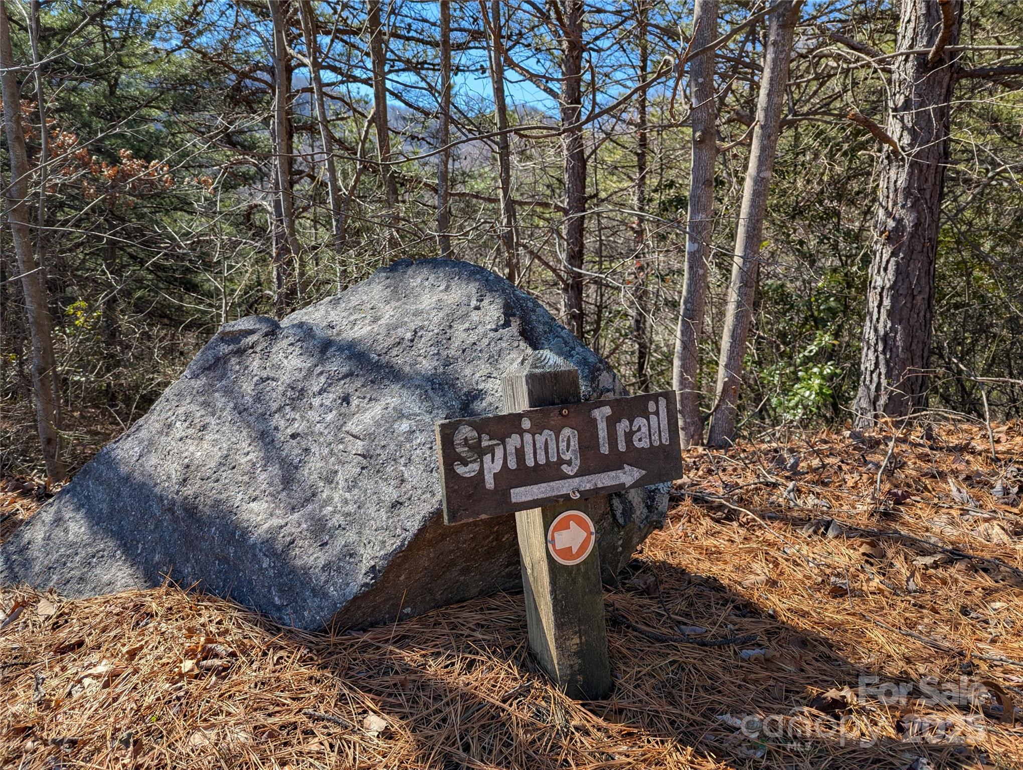 94 Trillium Lane Black Mountain NC 28711