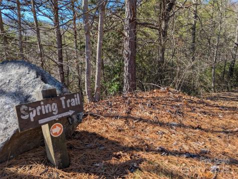 94 Trillium Lane Black Mountain NC 28711