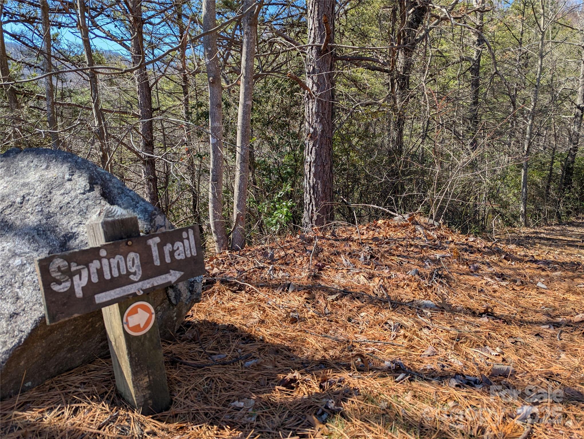 94 Trillium Lane Black Mountain NC 28711