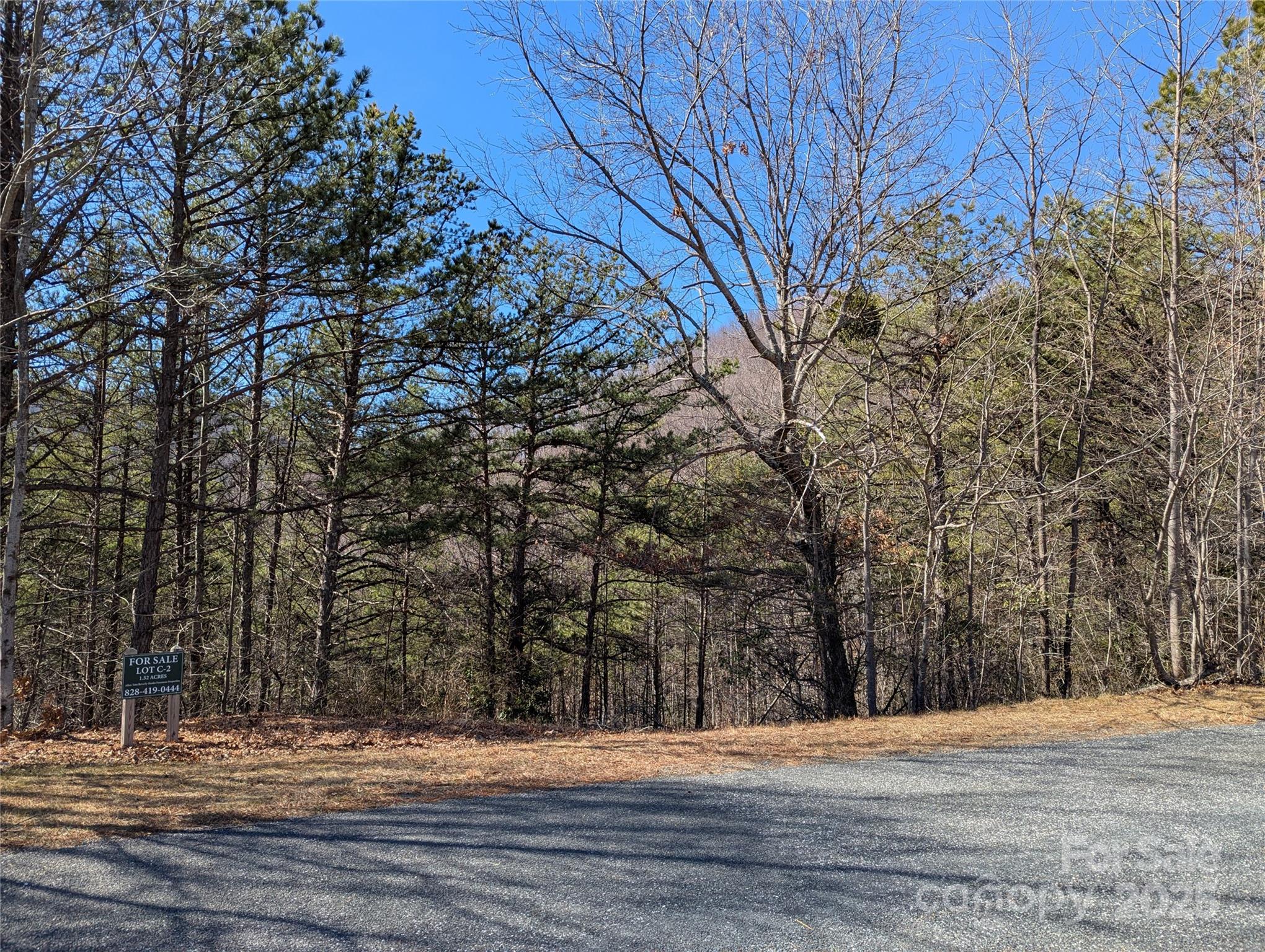 94 Trillium Lane Black Mountain NC 28711