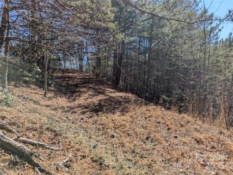 94 Trillium Lane Black Mountain NC 28711