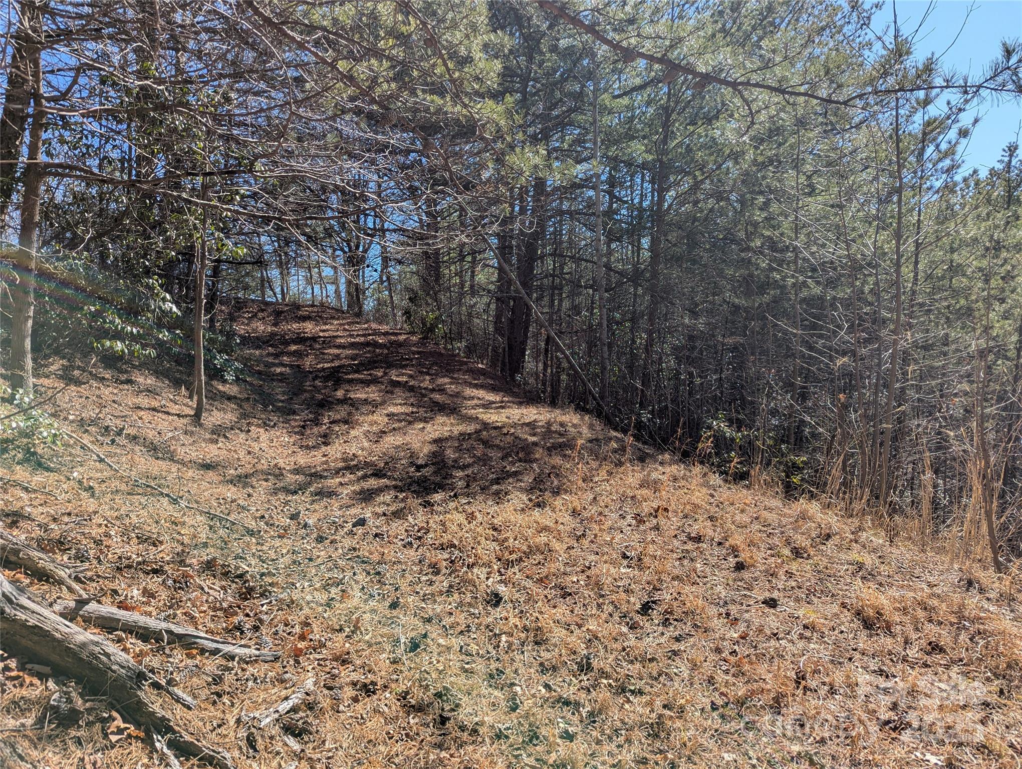 94 Trillium Lane Black Mountain NC 28711