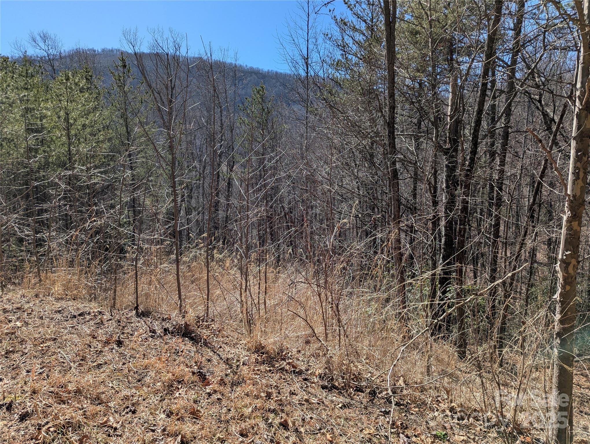 94 Trillium Lane Black Mountain NC 28711