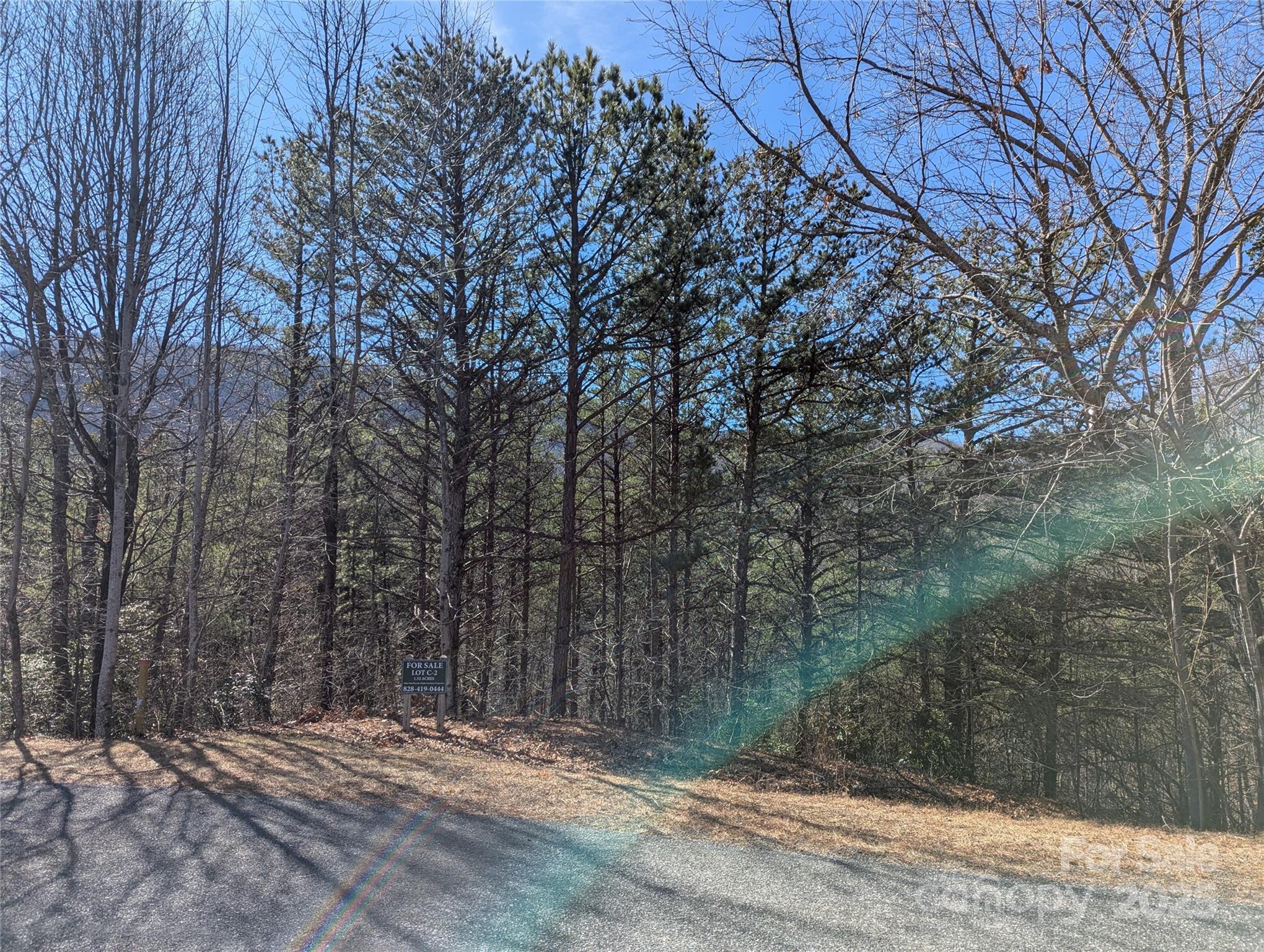 94 Trillium Lane Black Mountain NC 28711