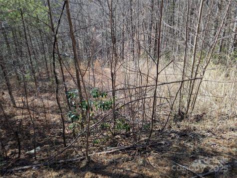 94 Trillium Lane Black Mountain NC 28711