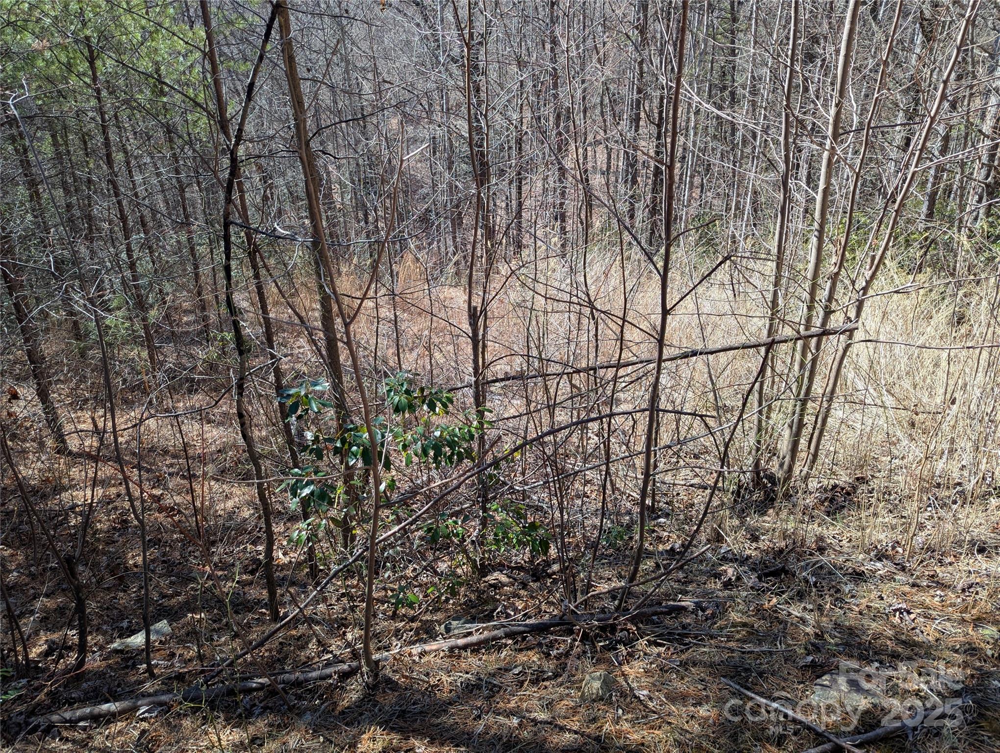 94 Trillium Lane Black Mountain NC 28711