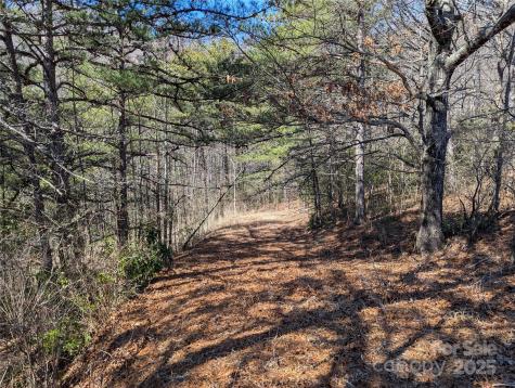 94 Trillium Lane Black Mountain NC 28711