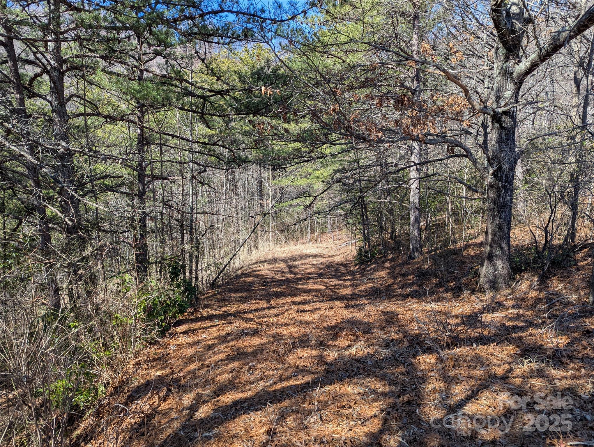 94 Trillium Lane Black Mountain NC 28711