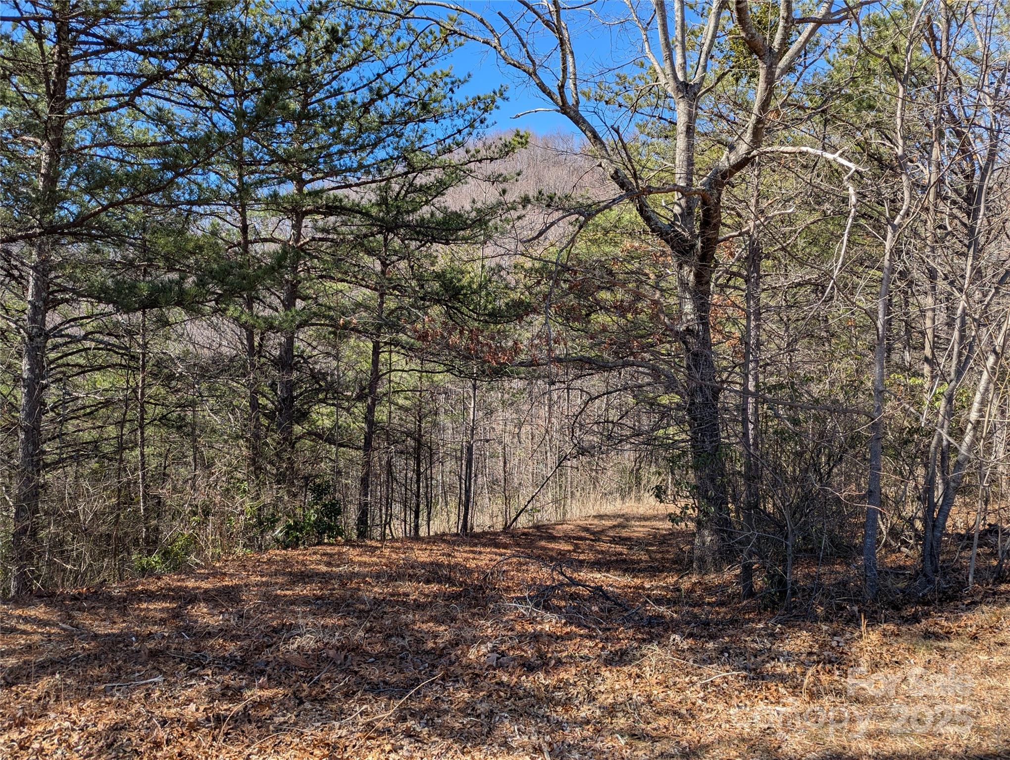 94 Trillium Lane Black Mountain NC 28711