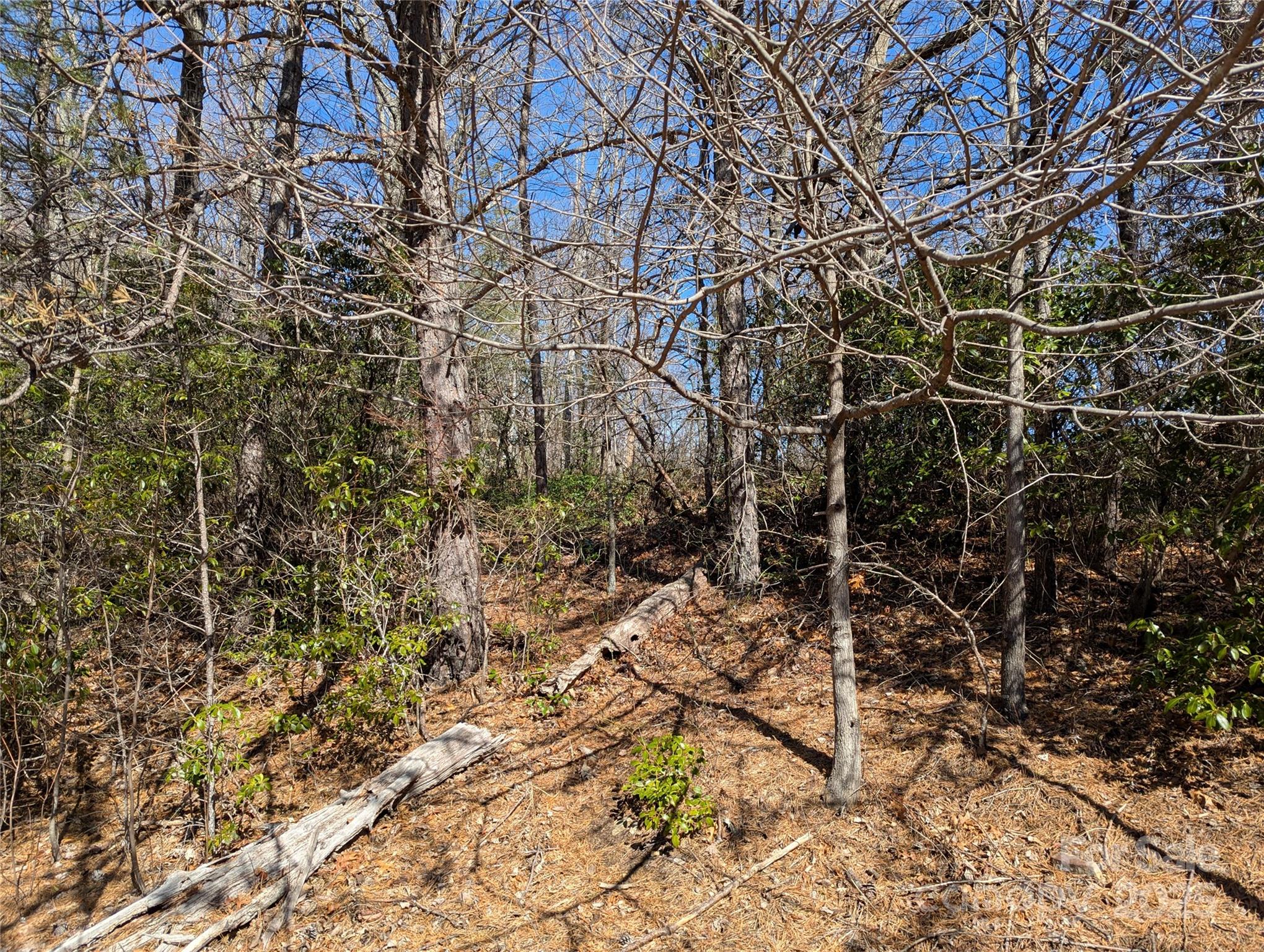 94 Trillium Lane Black Mountain NC 28711