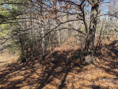94 Trillium Lane Black Mountain NC 28711