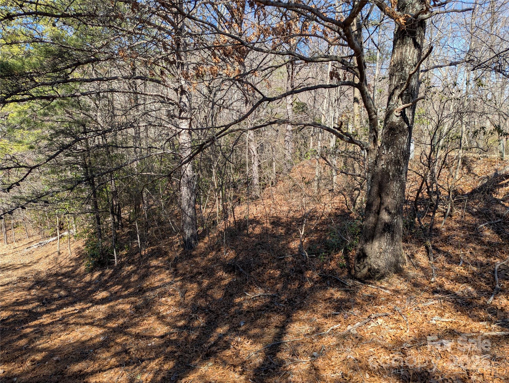 94 Trillium Lane Black Mountain NC 28711