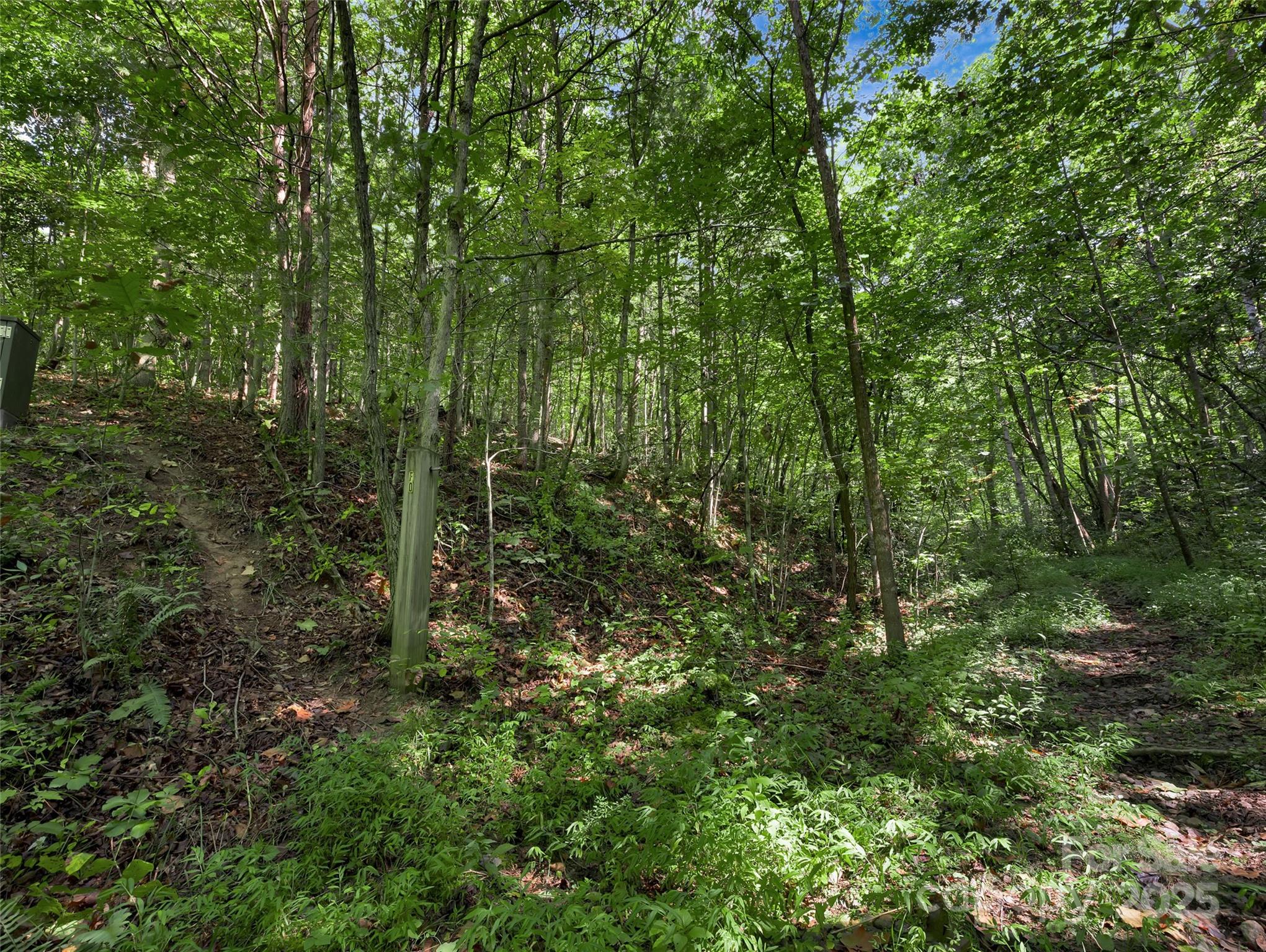 99999 Eastmoor Drive Asheville NC 28805