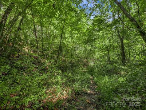 99999 Eastmoor Drive Asheville NC 28805