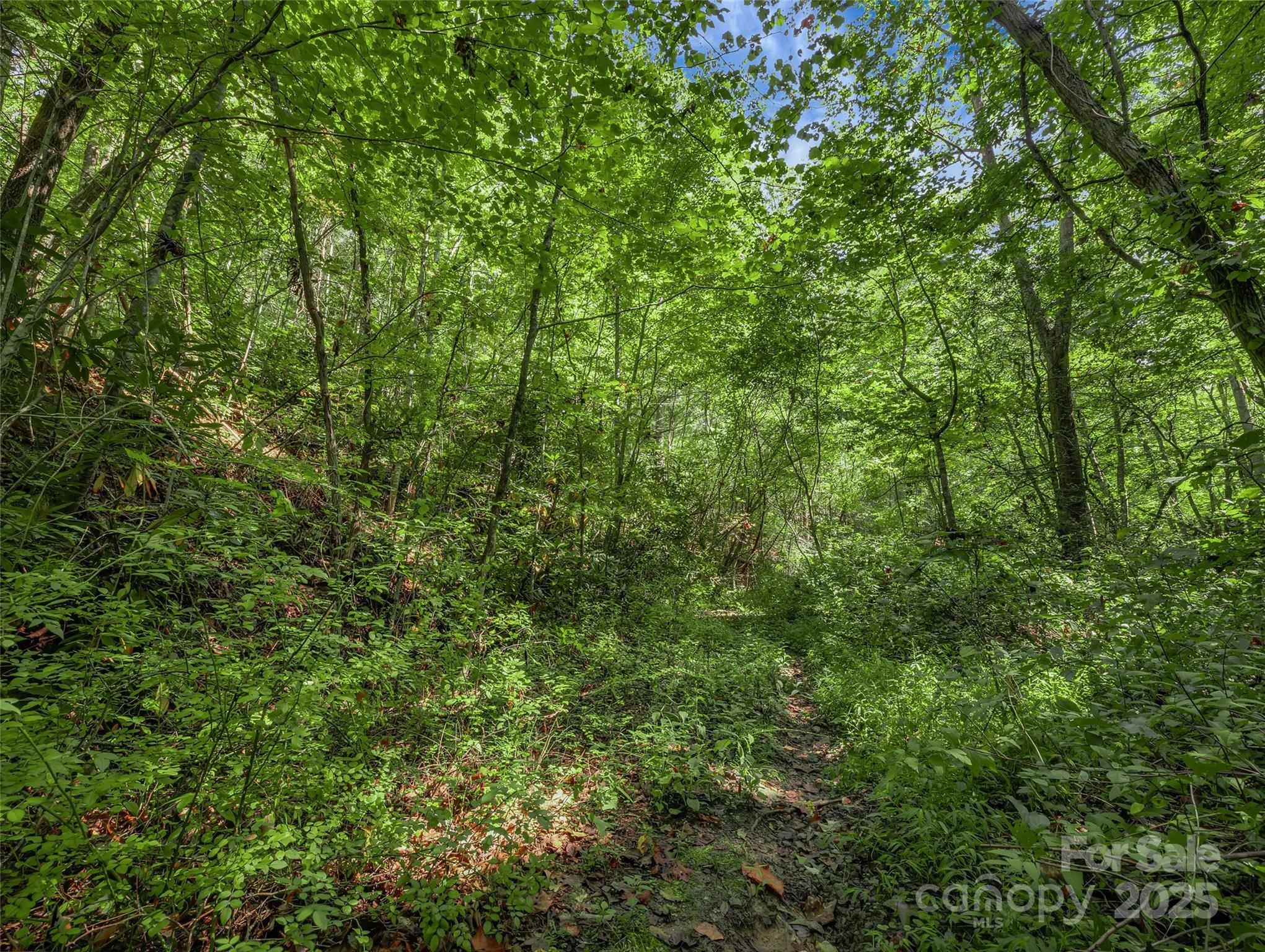 99999 Eastmoor Drive Asheville NC 28805