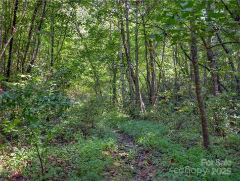 99999 Eastmoor Drive Asheville NC 28805