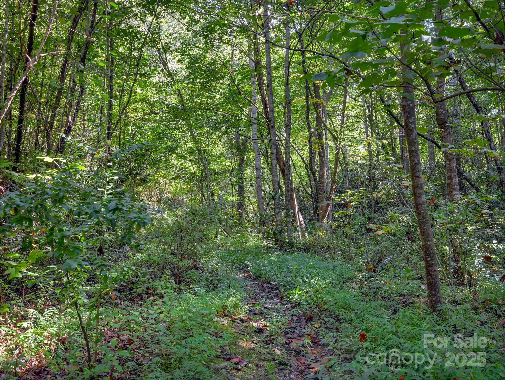 99999 Eastmoor Drive Asheville NC 28805