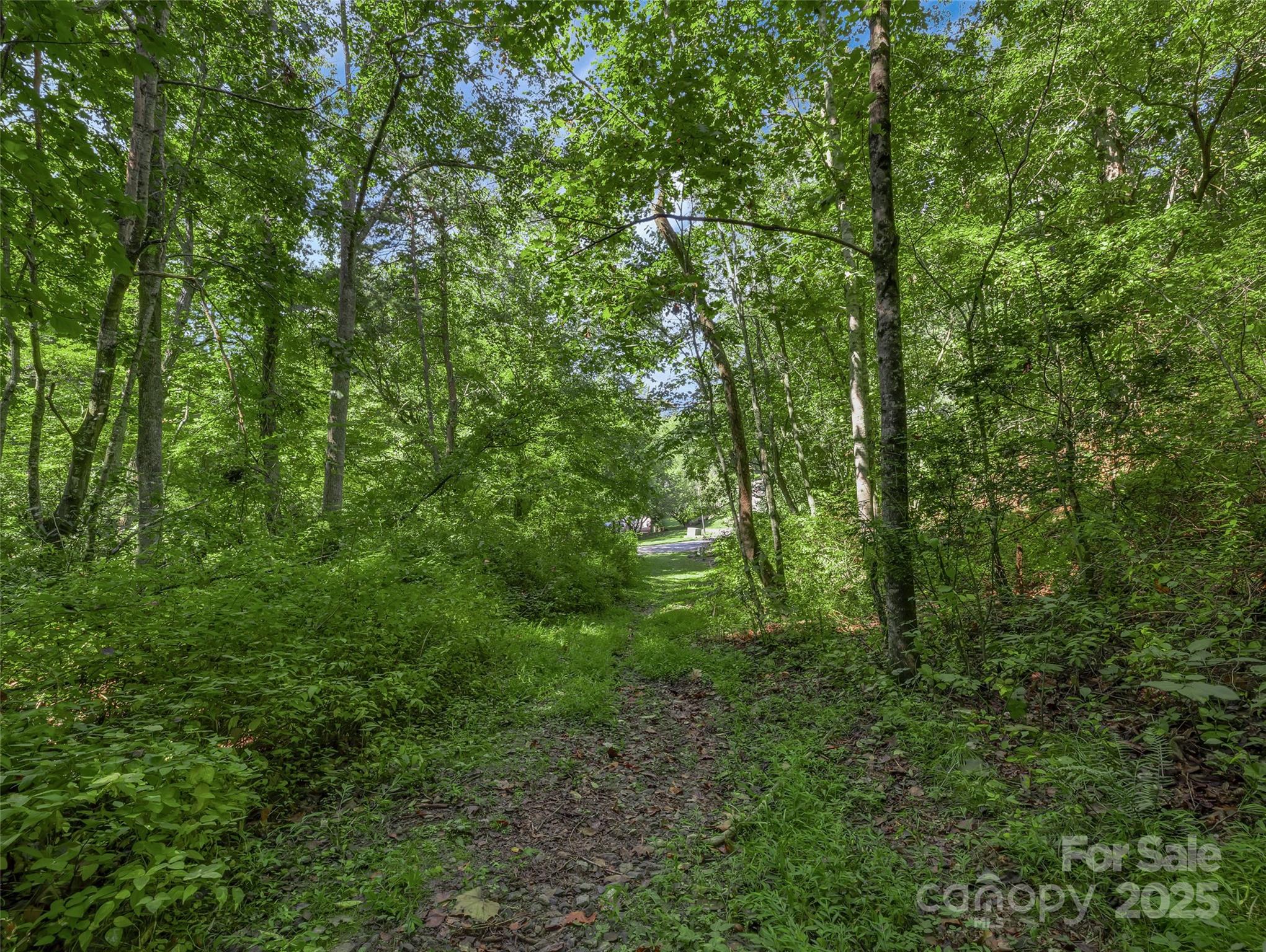 99999 Eastmoor Drive Asheville NC 28805
