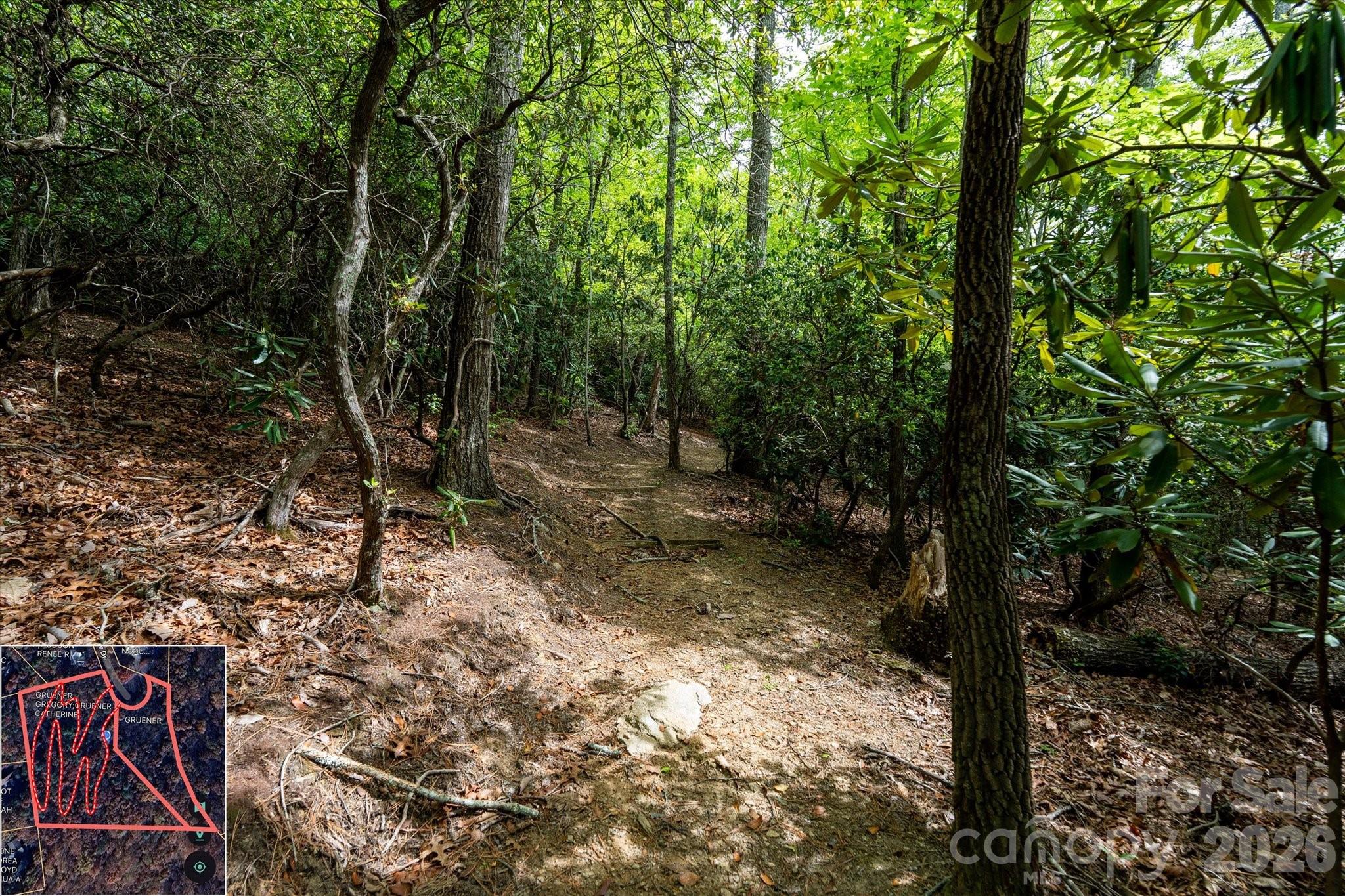 9999 North Fork Road Black Mountain NC 28711
