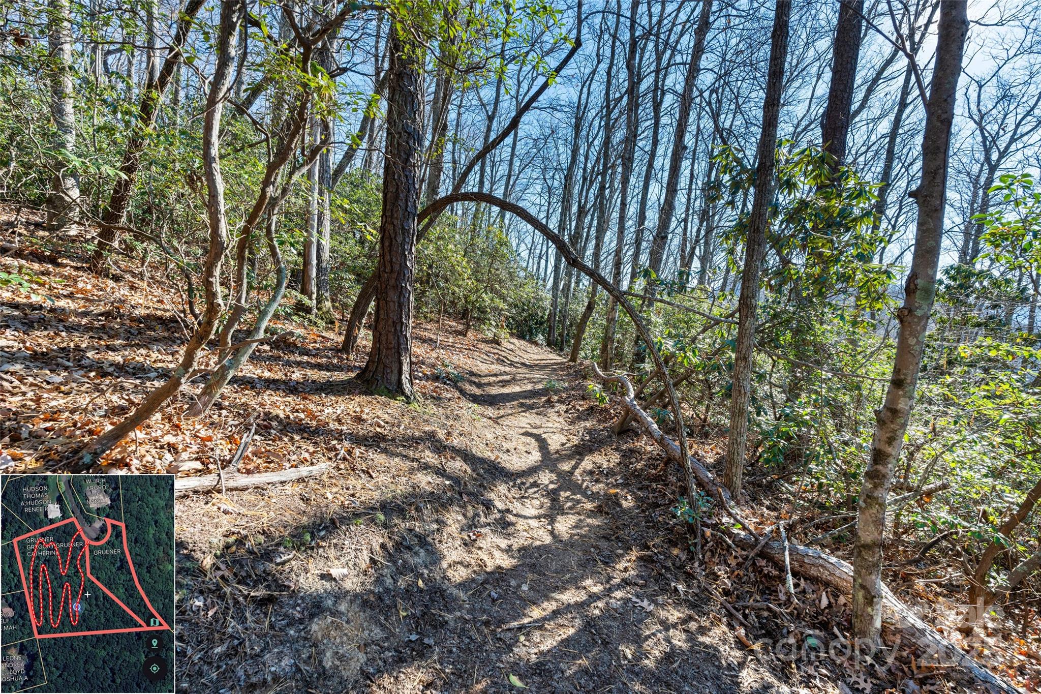 9999 North Fork Road Black Mountain NC 28711