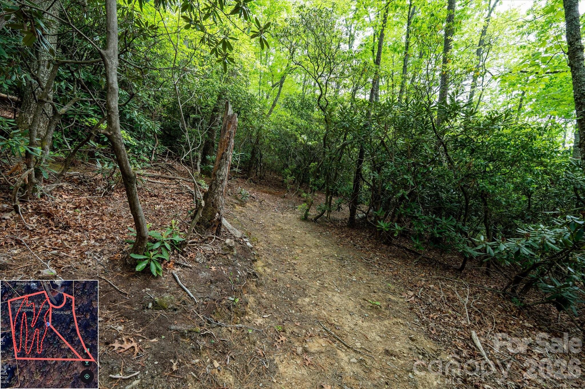 9999 North Fork Road Black Mountain NC 28711