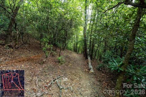 9999 North Fork Road Black Mountain NC 28711