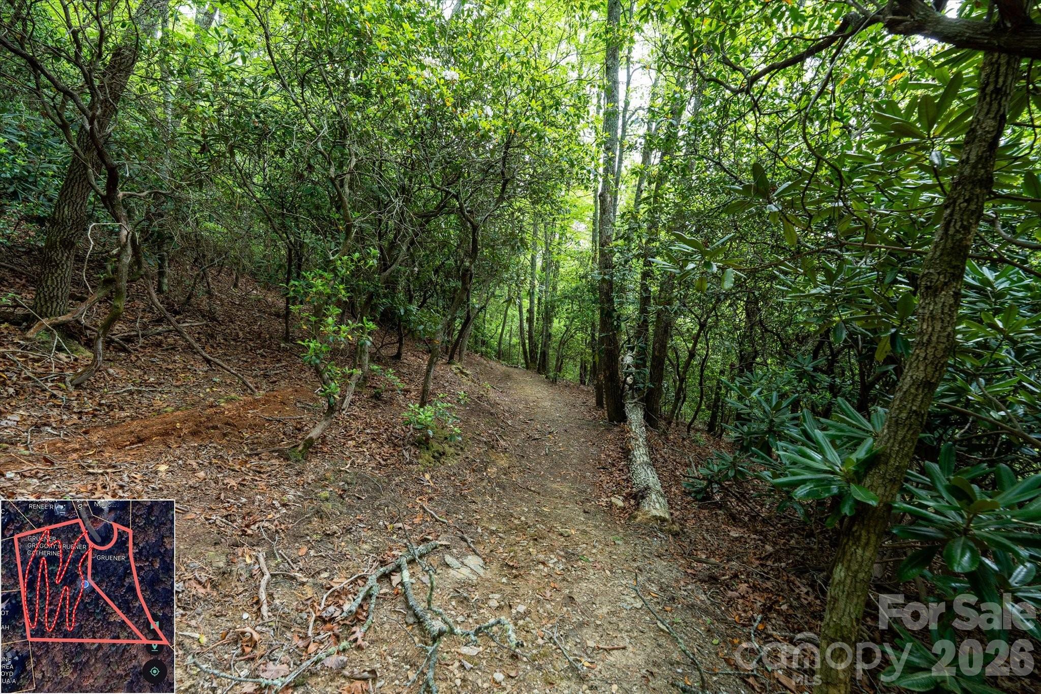 9999 North Fork Road Black Mountain NC 28711