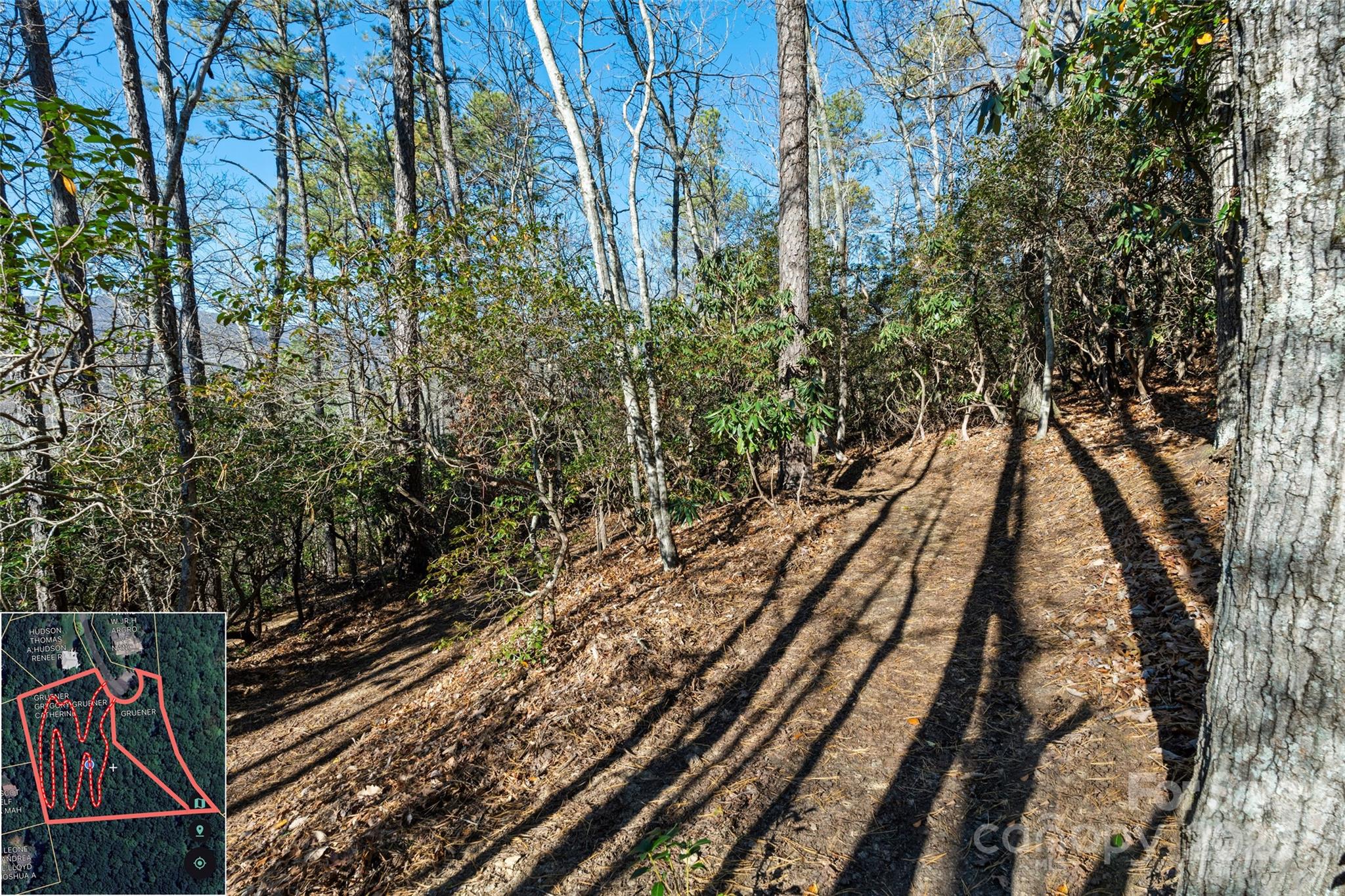 9999 North Fork Road Black Mountain NC 28711