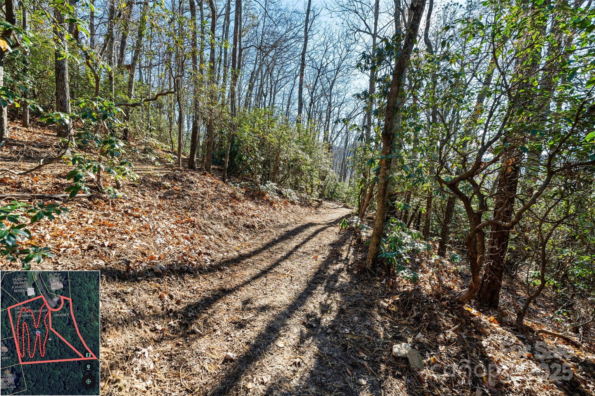 9999 North Fork Road Black Mountain NC 28711