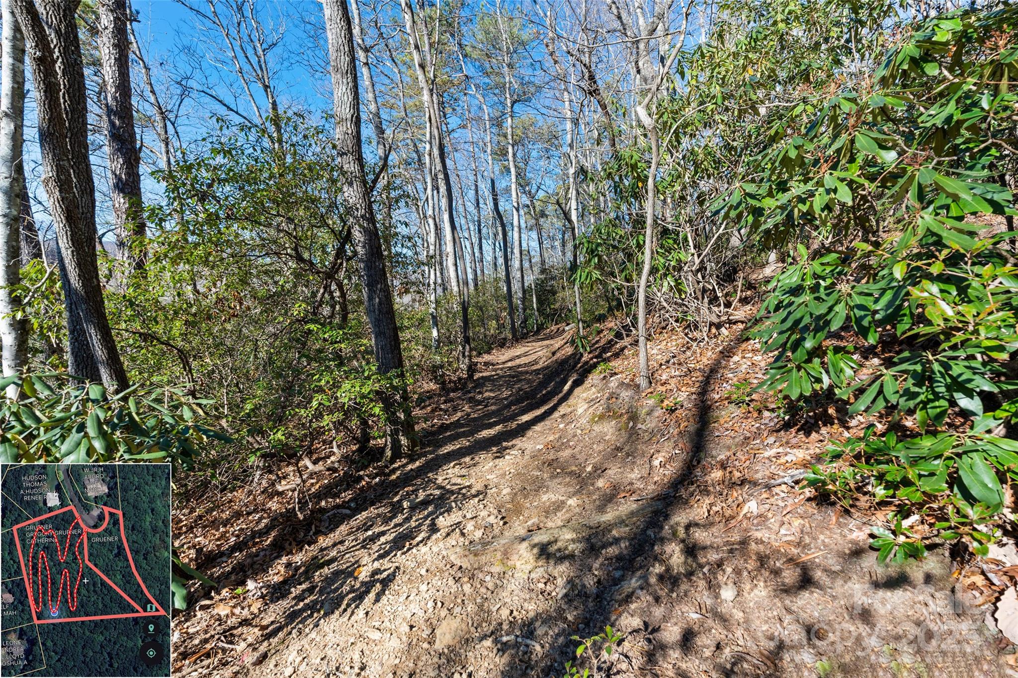 9999 North Fork Road Black Mountain NC 28711