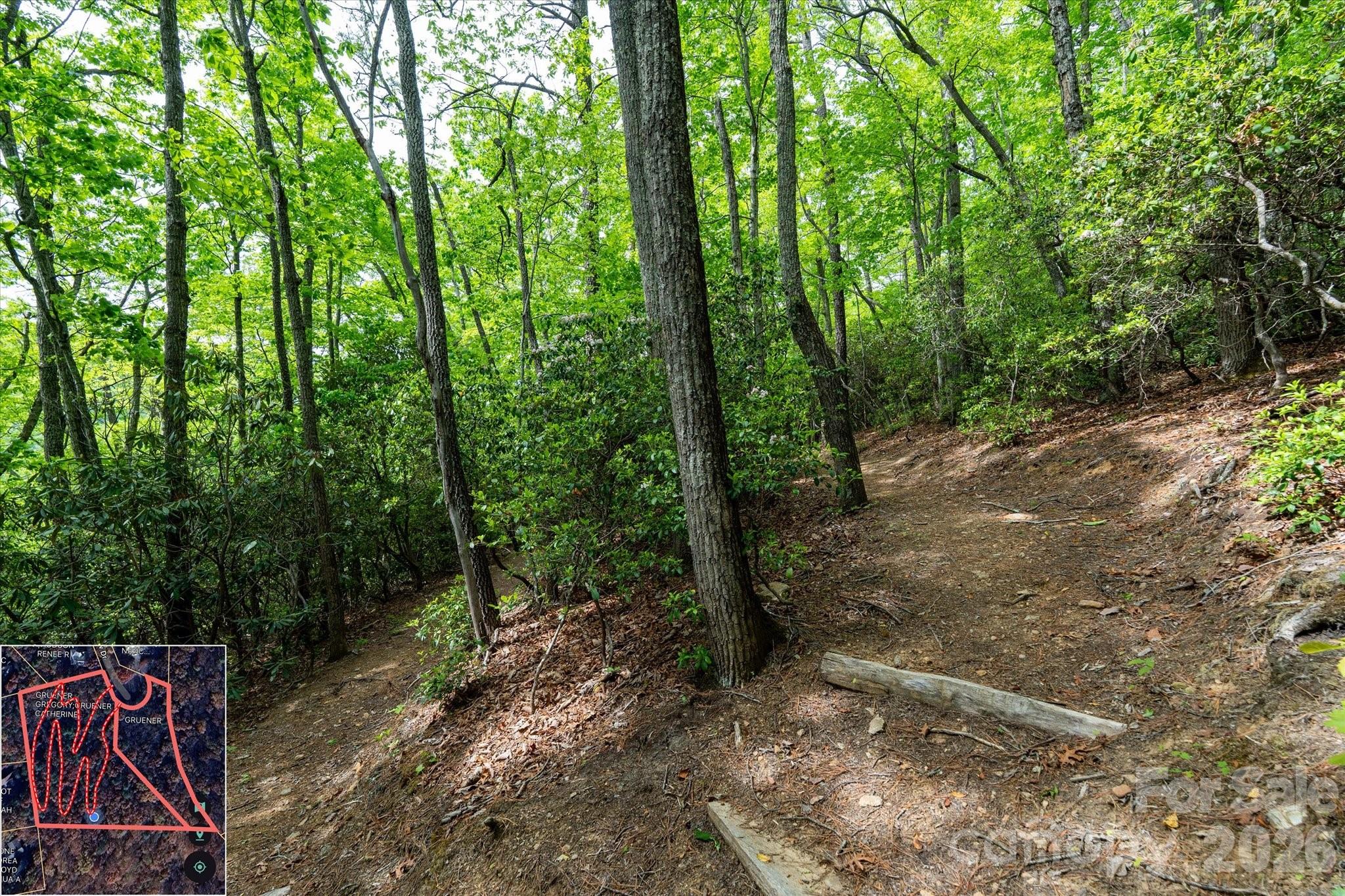 9999 North Fork Road Black Mountain NC 28711
