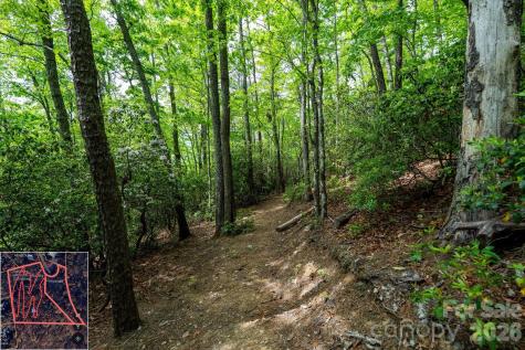 9999 North Fork Road Black Mountain NC 28711