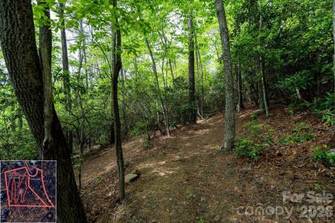 9999 North Fork Road Black Mountain NC 28711