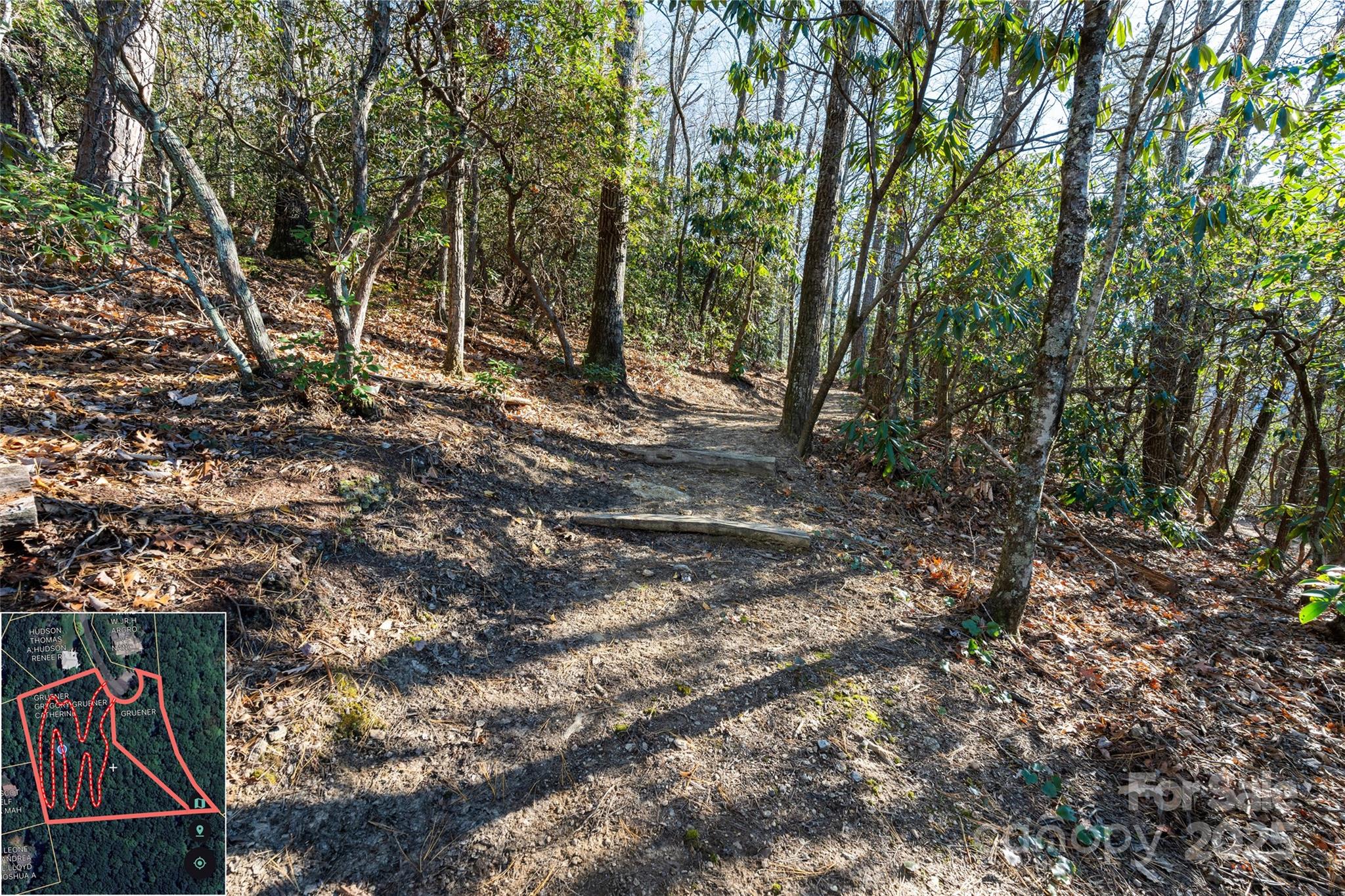 9999 North Fork Road Black Mountain NC 28711