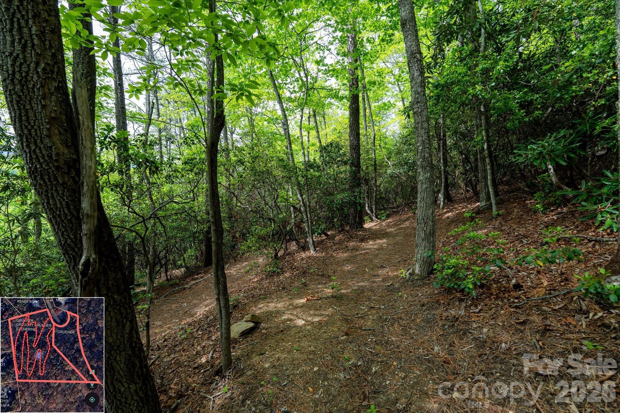 9999 North Fork Road Black Mountain NC 28711