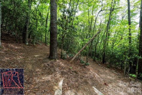 9999 North Fork Road Black Mountain NC 28711